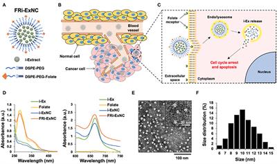 Folic Acid Receptor-Mediated Targeting Enhances the Cytotoxicity, Efficacy, and Selectivity of Withania somnifera Leaf Extract: In vitro and in vivo Evidence